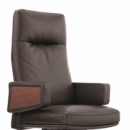Classic Brown Leather Goose Down Office Chair A2119