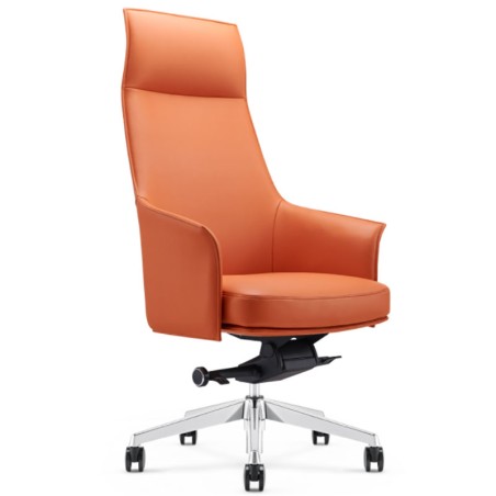 Modern Ergonomic Design Executive Office Chair A1918