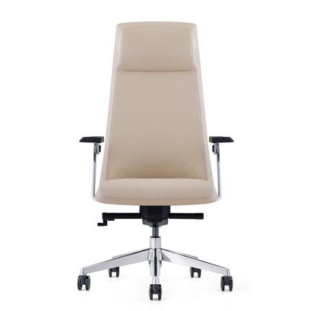 Manufacturer Foshan Furicco Supplying High Quality Europe Design Nude Black High Back Office Chair A2219