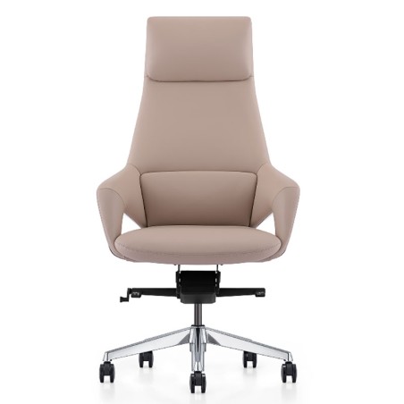 Modern Ergonomic Design Executive Office Chair FK005