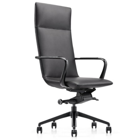 Modern Ergonomic Design Executive Office Chair A1901