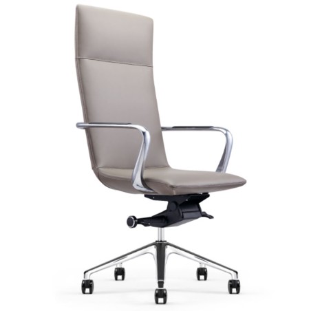 Modern Ergonomic Design Executive Office Chair A1901